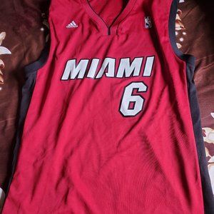 LeBron James Miami Jersey